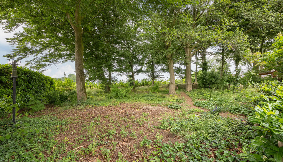 Buitengewoon huis te koop in Ravels Weelde