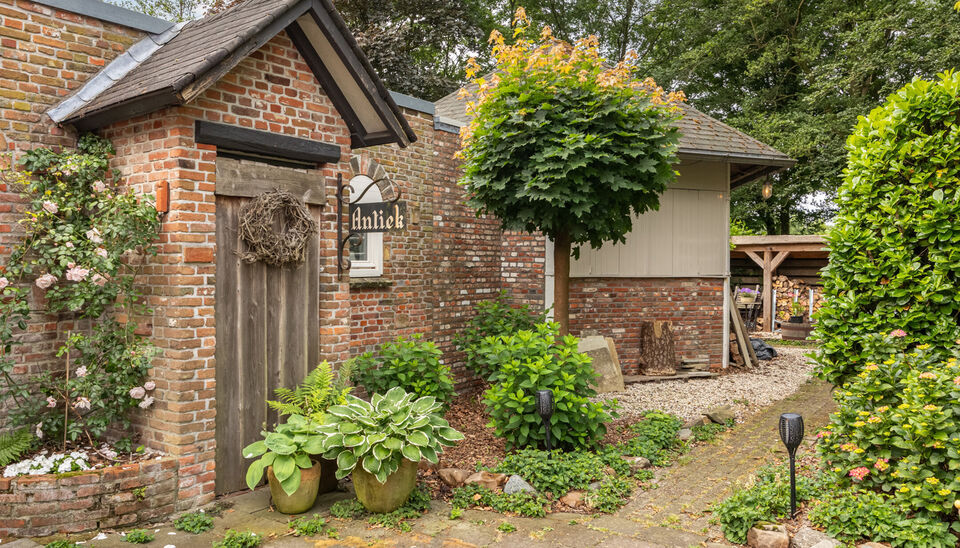 Buitengewoon huis te koop in Ravels Weelde
