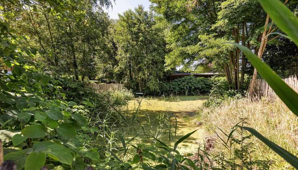 Gelijkvloerse verd. + tuin te koop in Lille