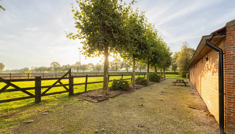 Hoeve te koop in Poppel